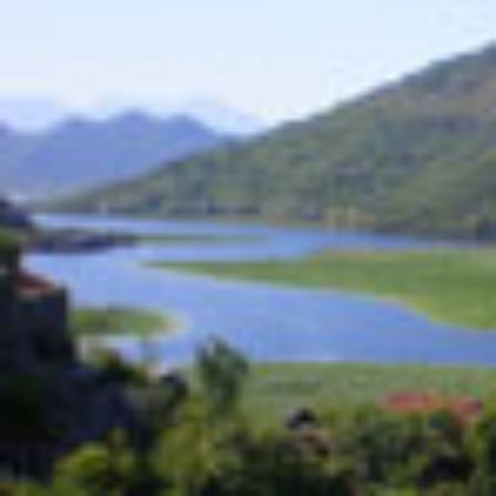 Vilalua